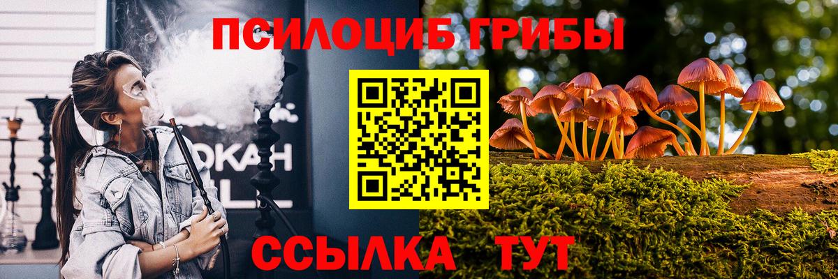 Псилоцибиновые грибы MAGIC MUSHROOMS Холмск