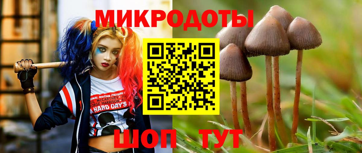 Псилоцибиновые грибы Cubensis  Вход с VPN  Холмск  Псилоцибиновые грибы GOLDEN TEACHER 